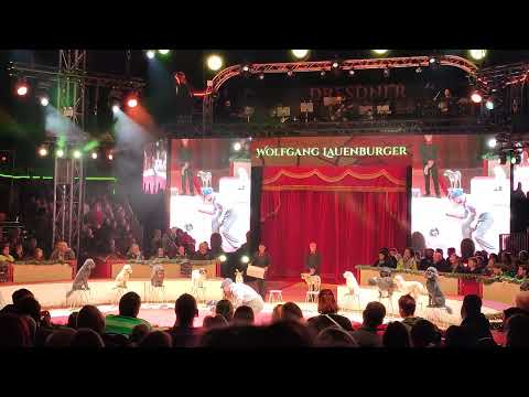 Wolfgang Lauenburger - psy