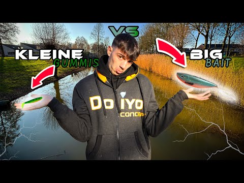 Fishing challenge ESCALATES!🎣 Small vs. large lures when pike fishing - which catches more fish?