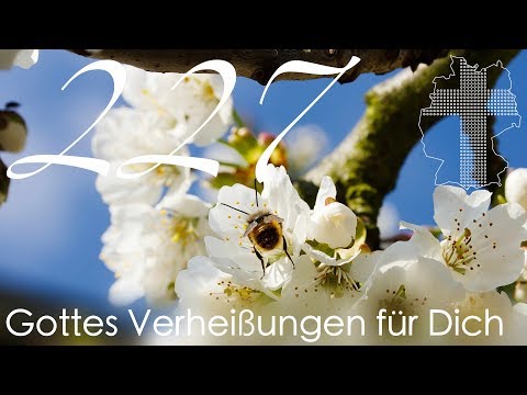 Gottes Verheißungen für Dich - 1. Korinther 1,3 | Videokalender 227/365 - Deutschland braucht JESUS