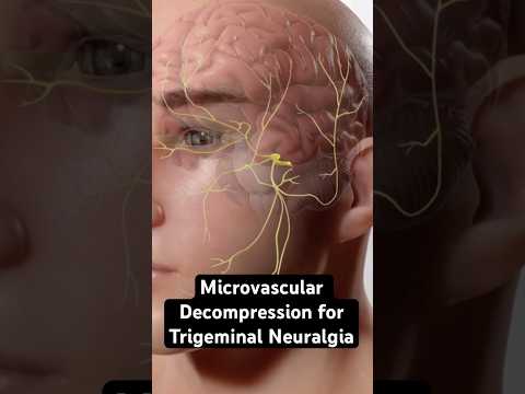 Most excruciating pain known to humanity (3D Animation)