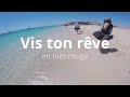 vis ton rêve: en mer rouge ( red sea egypt serenity makady hurgada 2019 gopro mahmya ) vis ton rêve: en mer rouge ( red sea egypt serenity makady hurgada 2019 gopro mahmya )