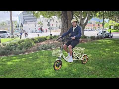 Most Unique 3 Wheel Electric Bike for Adults - 12" Folding ETrike w/ Unique Features