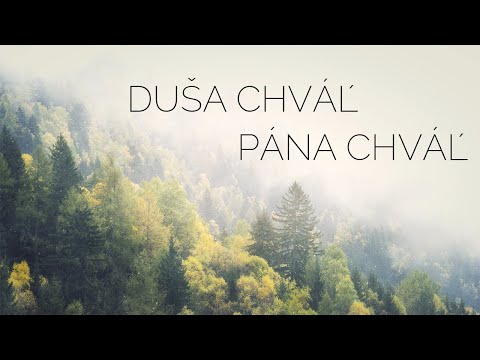 Duša chváľ, Pána chváľ - chvály (text)