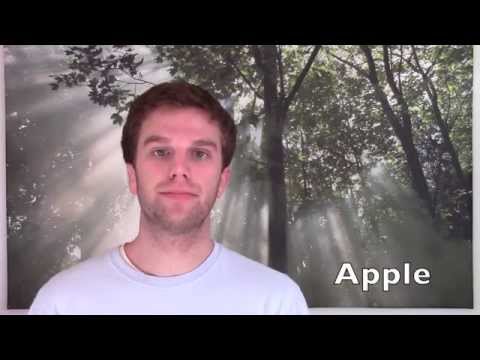 Engleza Lui Thomas Lesson 10 - To Like - Plural