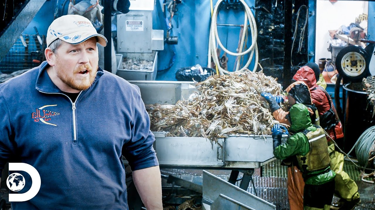 Cangrejos tóxicos ponen en peligro la pesca del Cornelia Marie | Pesca mortal