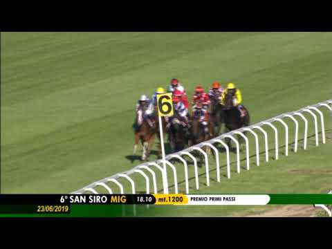 2019.06.23 Premio Primi Passi  (ITA) - Malotru