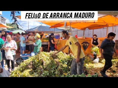 Feijão de arrancar maduro tem feira livre de iati Pernambuco 