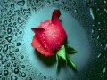 Soniya Ve Mahiya Ve Atif Aslam Dorie