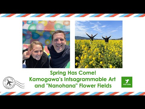 Spring Has Come! Kamogawa's Intsagrammable Art and "Nanohana" Flower Fields