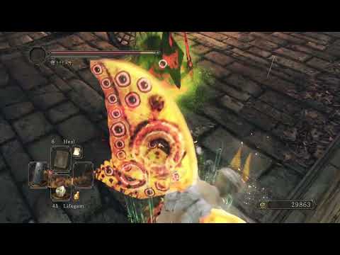 89. Pacifist butterfly vs Aslatiel of Mirrah & grabs Northern Ritual Band+2, Dark Souls II SotFS