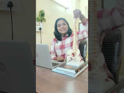 What is Causing My Back Pain, and How Can I Remedy It - Dr. Soumya Physiotherapy and Rehab Clinic