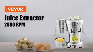 VEVOR Commercial Type Juice Extractor Stainless Steel Juicer Heavy Duty WF-A3000