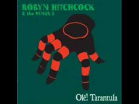 Underground Sun - Robyn Hitchcock