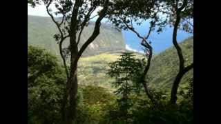 preview picture of video 'Ride The Rim ATV Waipio Valley Hawaii'