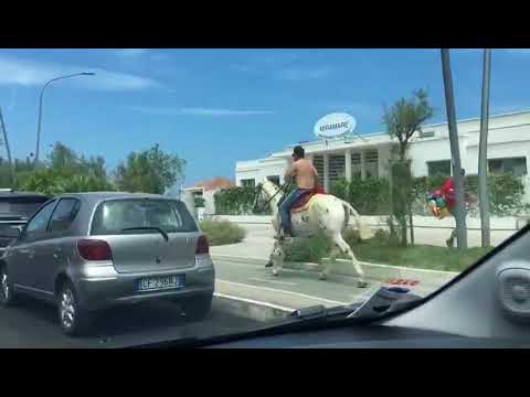 Pescara, con il cavallo al galoppo sulla pista ciclabile della riviera
