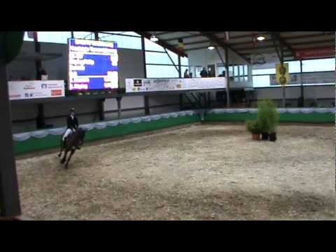 ZAMINTA - Cormint x Alboretto, Geb. 2007, Holsteiner Stute