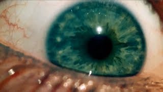 Modest Mouse - 3 Inch Horses, Two Faced Monsters (Music Video)