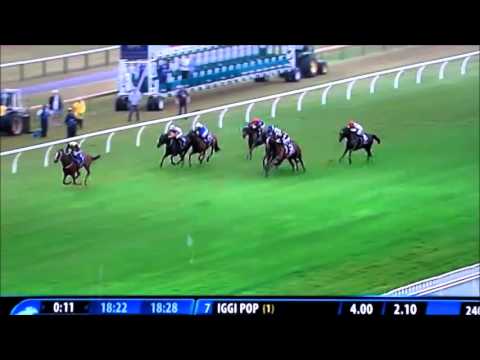 Couch Calling - Zabeel Classic Group 1