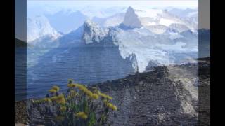 Death of Ace by Trace