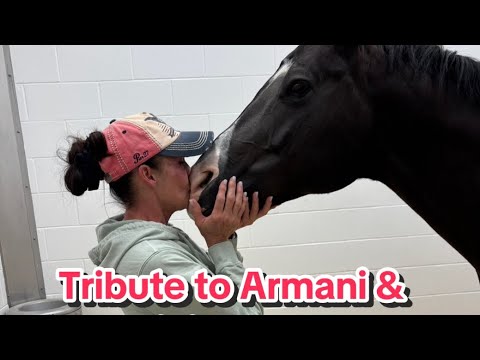 Armani Tribute 