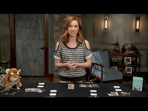 How to Play Action Cats!