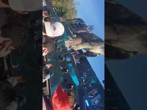 Jantsen Live Set @ Lost Lands 2019