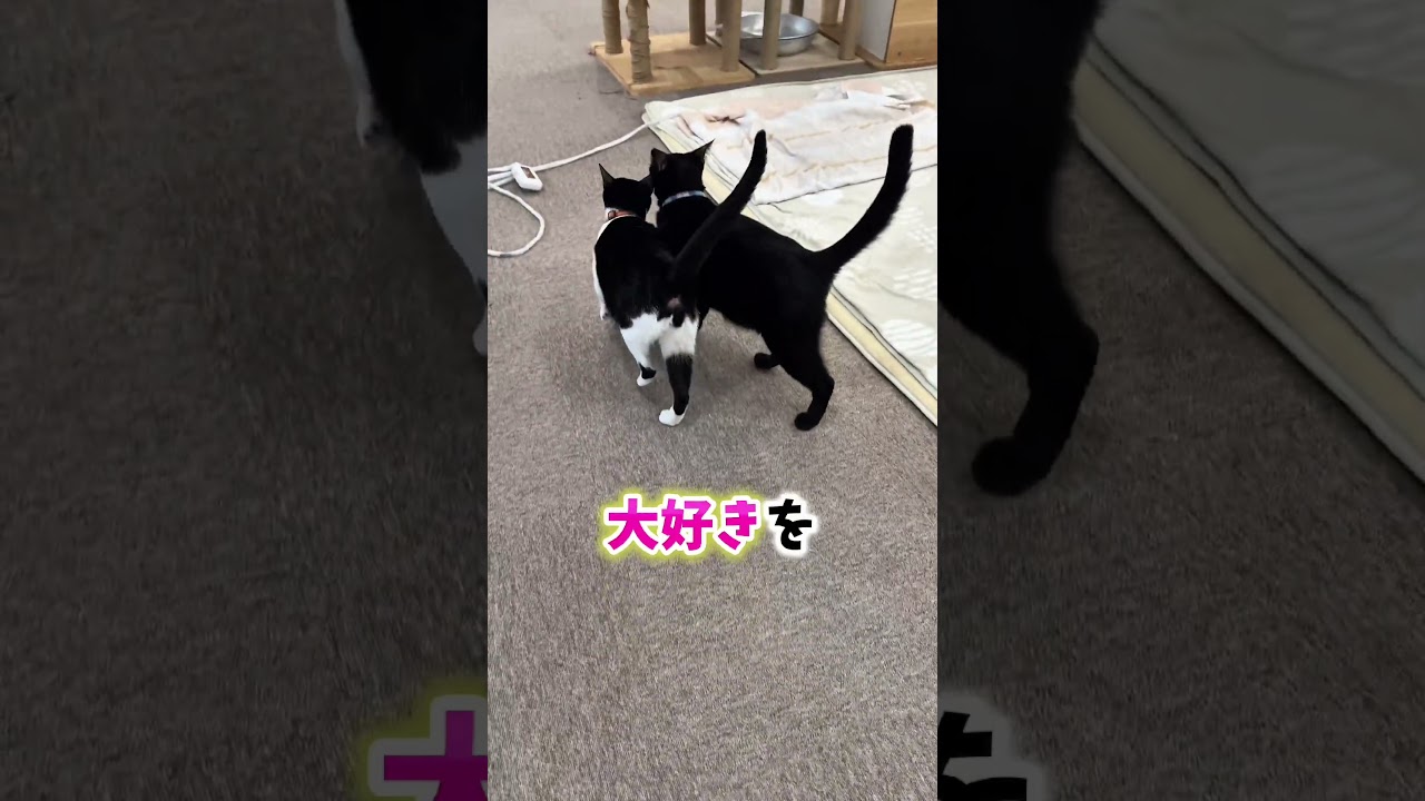 合流ミクロさん。