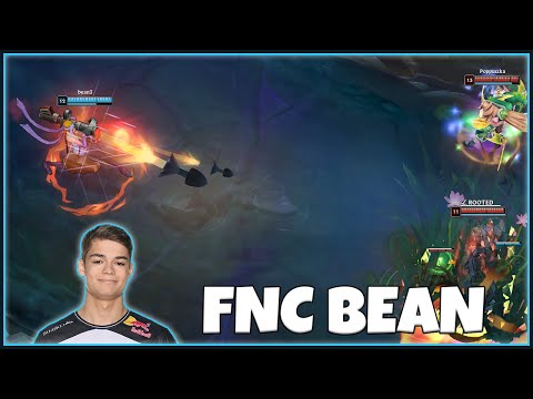 FNC Bean Jinx [TRACKING THE PROS]