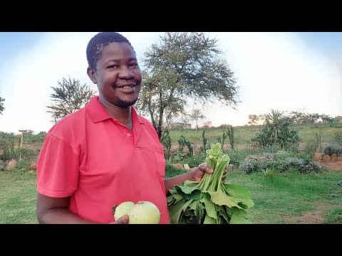 How we cook Pumpkin leaves