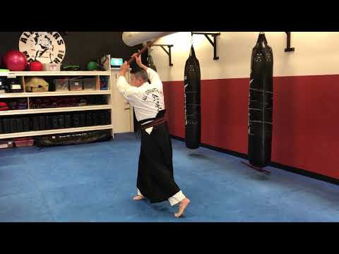 Bokken 8 Cut flow drill