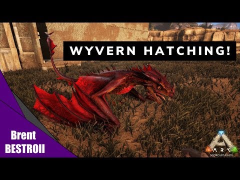 HATCHING TIME! Raising baby Wyverns... EP.7 - (Overpowered Ark)