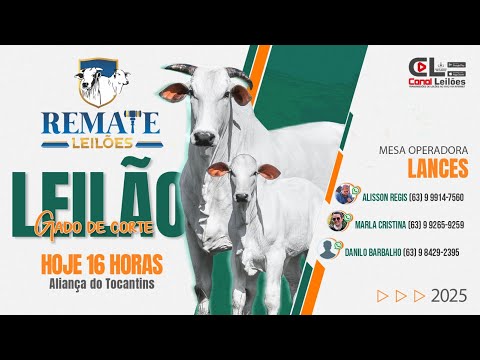 Canalleiloes.com | LEILÃO GADO DE CORTE  REMATE LEILÕES | ALIANÇA DO TOCANTINS - TO 11/12/2025
