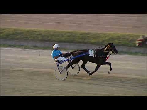 Napoli Trotto 18/08/2023 - Prova Addestramento