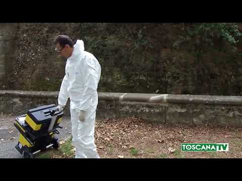 2017-10-16 MONTELUPO F.INO - RAGAZZA AGGREDITA AL PARCO, CONDIZIONI STABILI