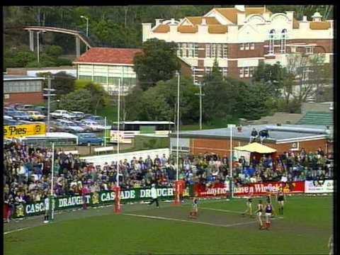 1991 TFL Grand Final