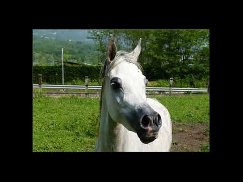 Azienda Agricola TRESCA 1