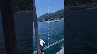 【青春 恋愛 ロック作った】命短し恋せよお前 という曲です #オリジナル曲 #おすすめ#エモ動画 #作詞作曲 #重音テト