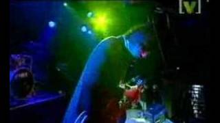 Judge Roy - you am i