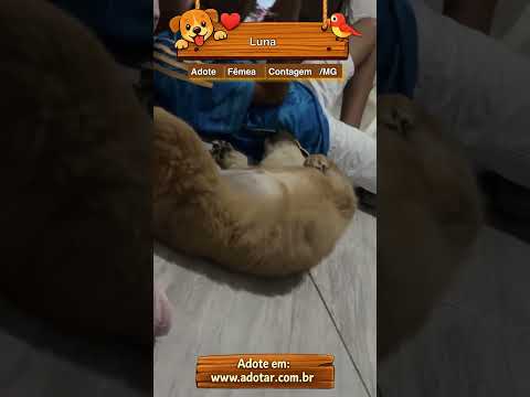 Vídeo de Luna