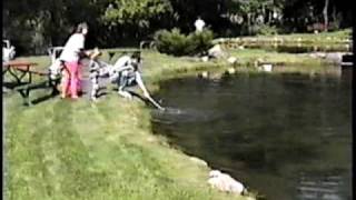 preview picture of video 'Family Fishing at Star Prairie Trout Farm WI Aug 14 1994'