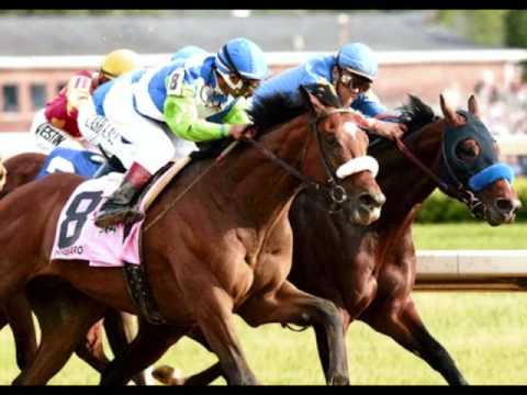 Barbaro - Live Like Horses - Kentucky Derby 132 Champion