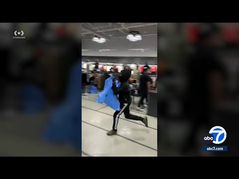 Flash mob ransacks Nike store in Watts, video shows