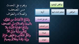 صورة 21  شرح ملح الناد للشيخ عامر بهجت - أثر النواقض