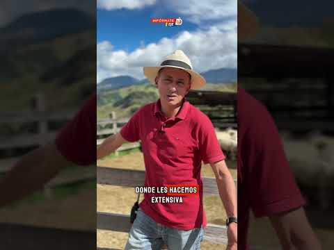 En Infórmate Eje conversamos con Marco Tulio Henao, gerente de la cooperativa ovina de Marulanda
