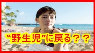 綾瀬はるか、 “野生児”に戻る？