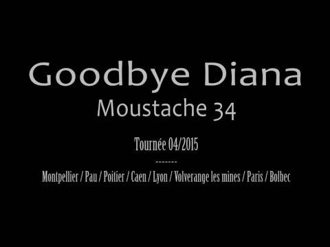 Goodbye Diana - Moustache (34) - Live Tour 2015