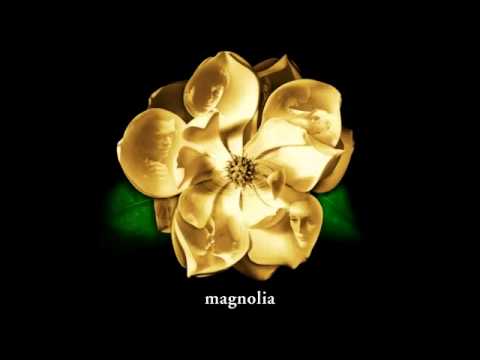 Magnolia -Stanley, Frank, Linda's Breakdown