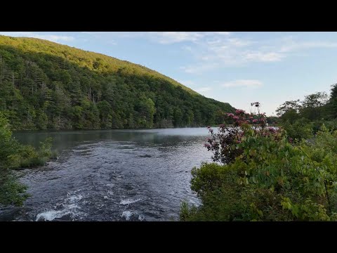 Zindel Park and Keller Reservoir from June 2025