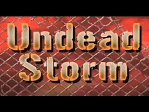 GO Series Undead Storm Nintendo DS