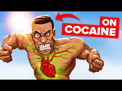 What Happens to Your Body When You Do Cocaine